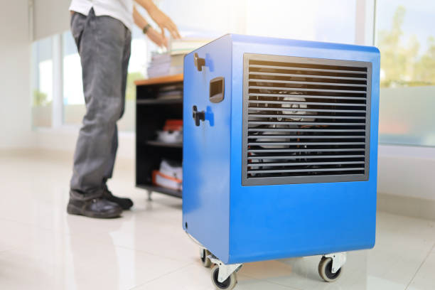 Best Mold Removal for HVAC Installations  in Oak Point, TX